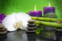 Massagen, Gesundheitsanwendungen und Naturkosmetik von Primavera in Dietenheim